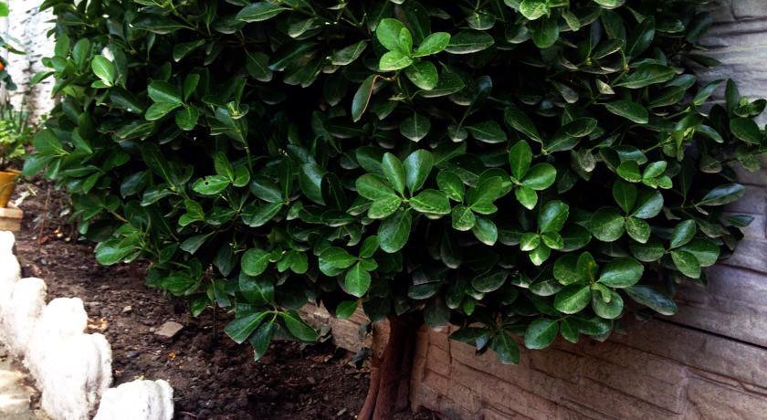 Гостиница U Leyli Рыбачье-31