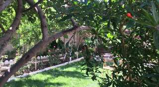 Гостиница U Leyli Рыбачье-4